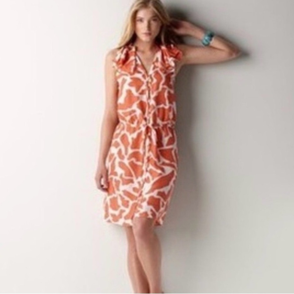 Ann Taylor Giraffe Print Sleeveless Ruffle Sleeve 100% Silk Dress Size 2P Spring - Picture 2 of 12